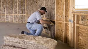 Best Eco-Friendly or Green Insulation Solutions  in USA